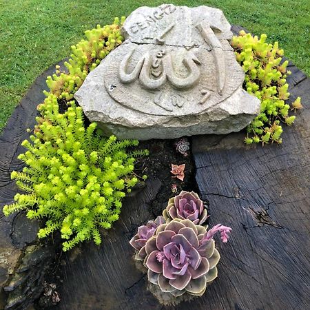 Happy Hobbit Şömineli Orman Manzaralı, Sapanca Villa Dış mekan fotoğraf