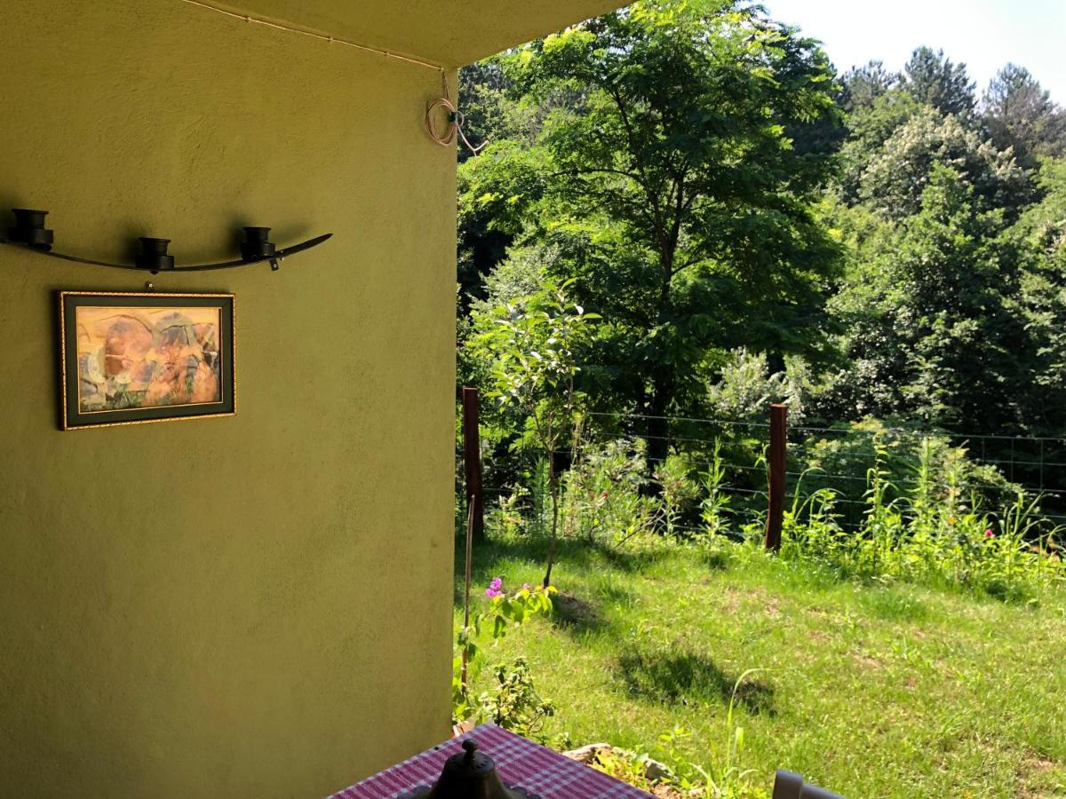 Happy Hobbit Şömineli Orman Manzaralı, Sapanca Villa Dış mekan fotoğraf
